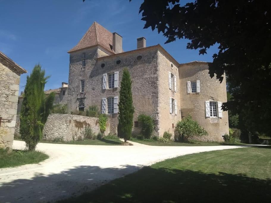 Chateau Barayre - Beautiful 12Th Century Castle With Pool And Large Garden Laussou Exteriör bild